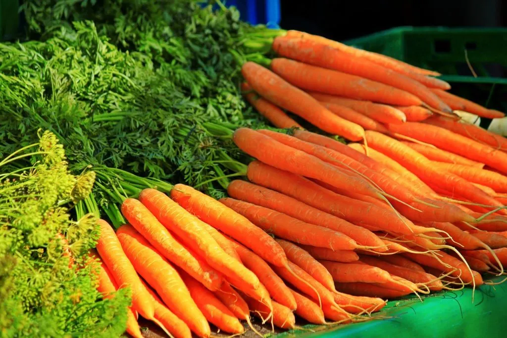 морковь в Пскове и Псковской области