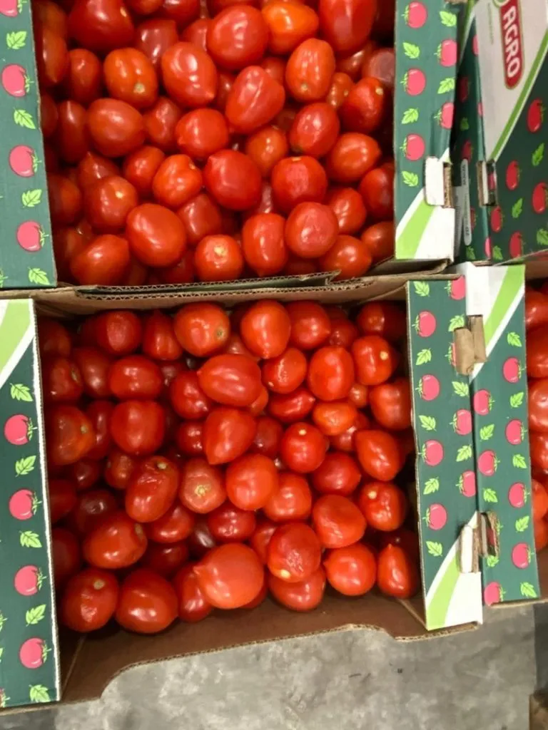 томат из Азербайджана в Новосибирске 4