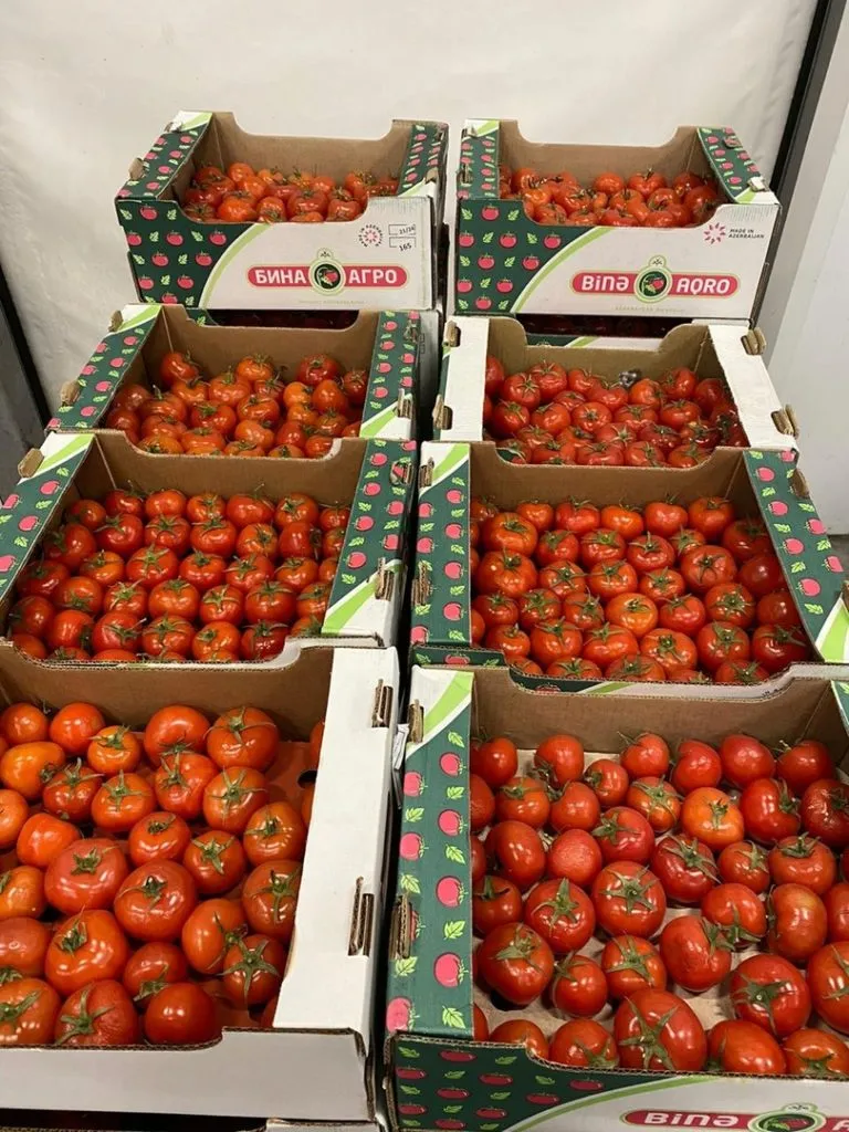 томат из Азербайджана в Новосибирске 6