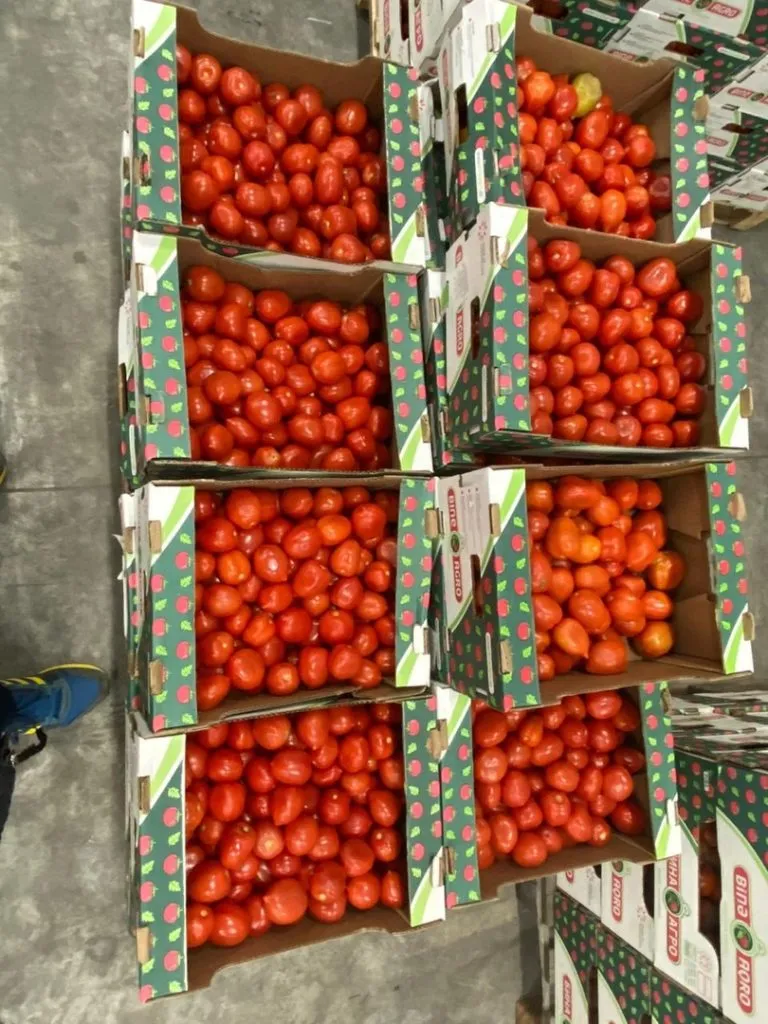 томат из Азербайджана в Новосибирске 3