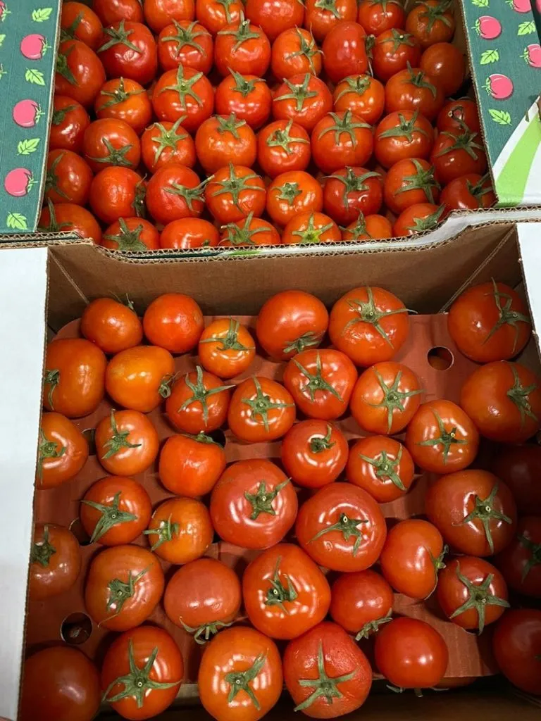 томат из Азербайджана в Новосибирске 2